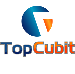 TopCubit Consultancy Services, Inc.